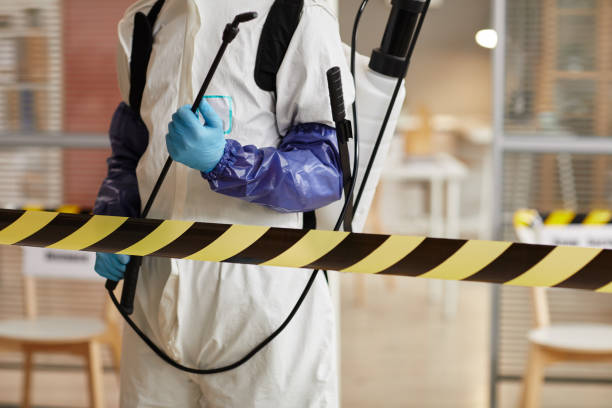 Professional Hoarding Cleanup technician working in Freeport, FL